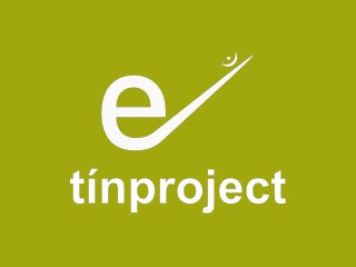tinproject logo